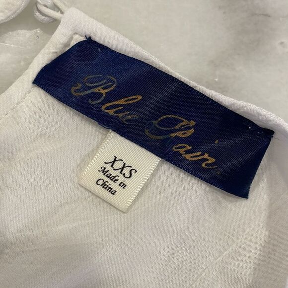 Blue Pair Embroidered Mini Dress - Picture 12 of 17